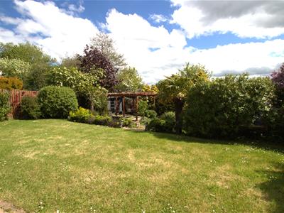 Picture 20